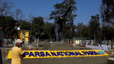 जरायो चोरी सिकारी प्रकरणः २ प्रदेश सांसदसहित ४९ जना दोषी ठहर